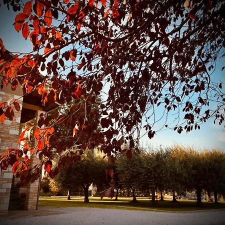 La Strada Di Francesco D'assisi Couette-café 3*