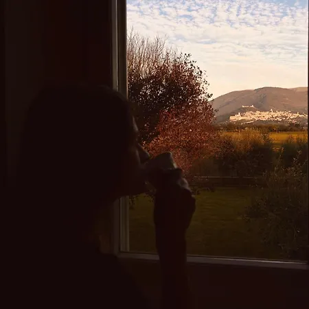 住宿加早餐酒店 阿西西弗朗西斯科大道住宿加早餐旅馆 3*