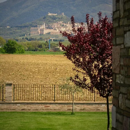 La Strada Di Francesco D'assisi Couette-café 3*