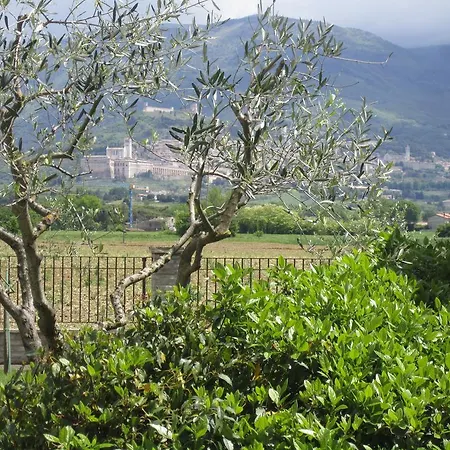 La Strada Di Francesco D'assisi Couette-café 3*