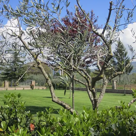 阿西西弗朗西斯科大道住宿加早餐旅馆 巴斯蒂亚乌姆布拉