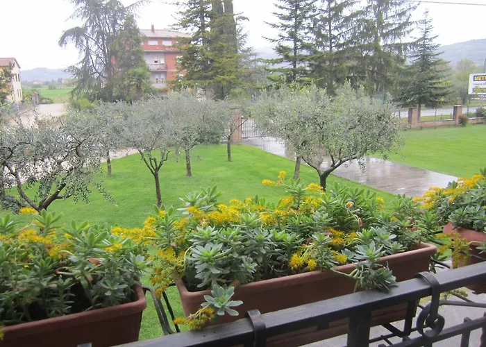 La Strada Di Francesco D'assisi