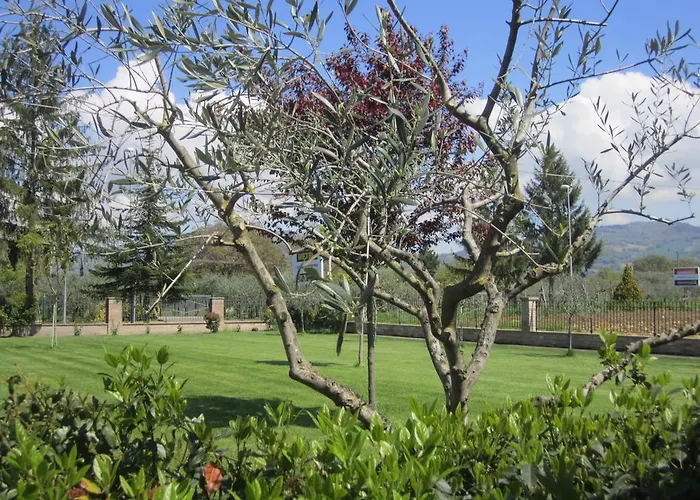 La Strada Di Francesco D'assisi Bastia Umbra